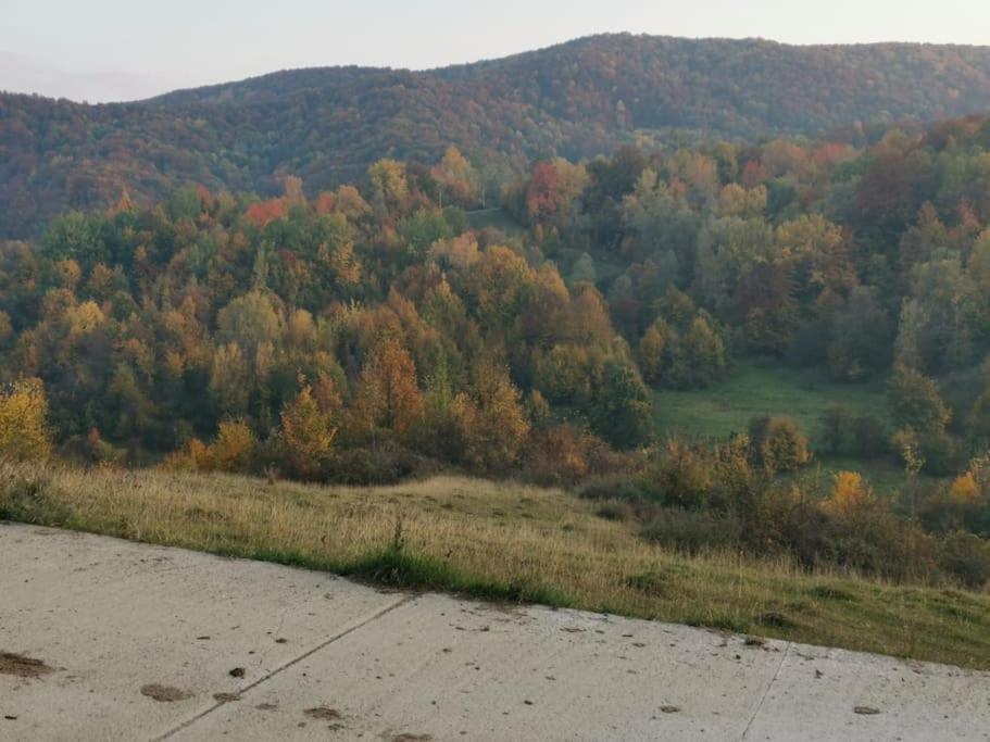 Вилла Cabanuta Fara Fite Provita de Jos Экстерьер фото